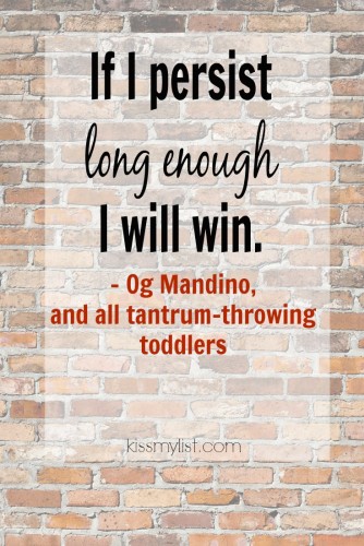 Persist long enough quote