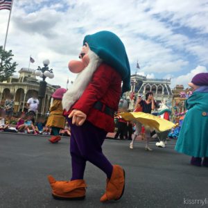 Magic Kingdom parade