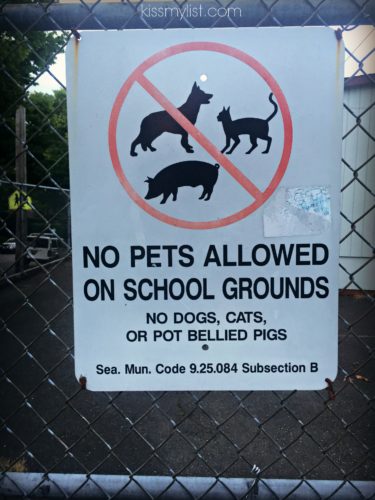 pot bellied pig sign