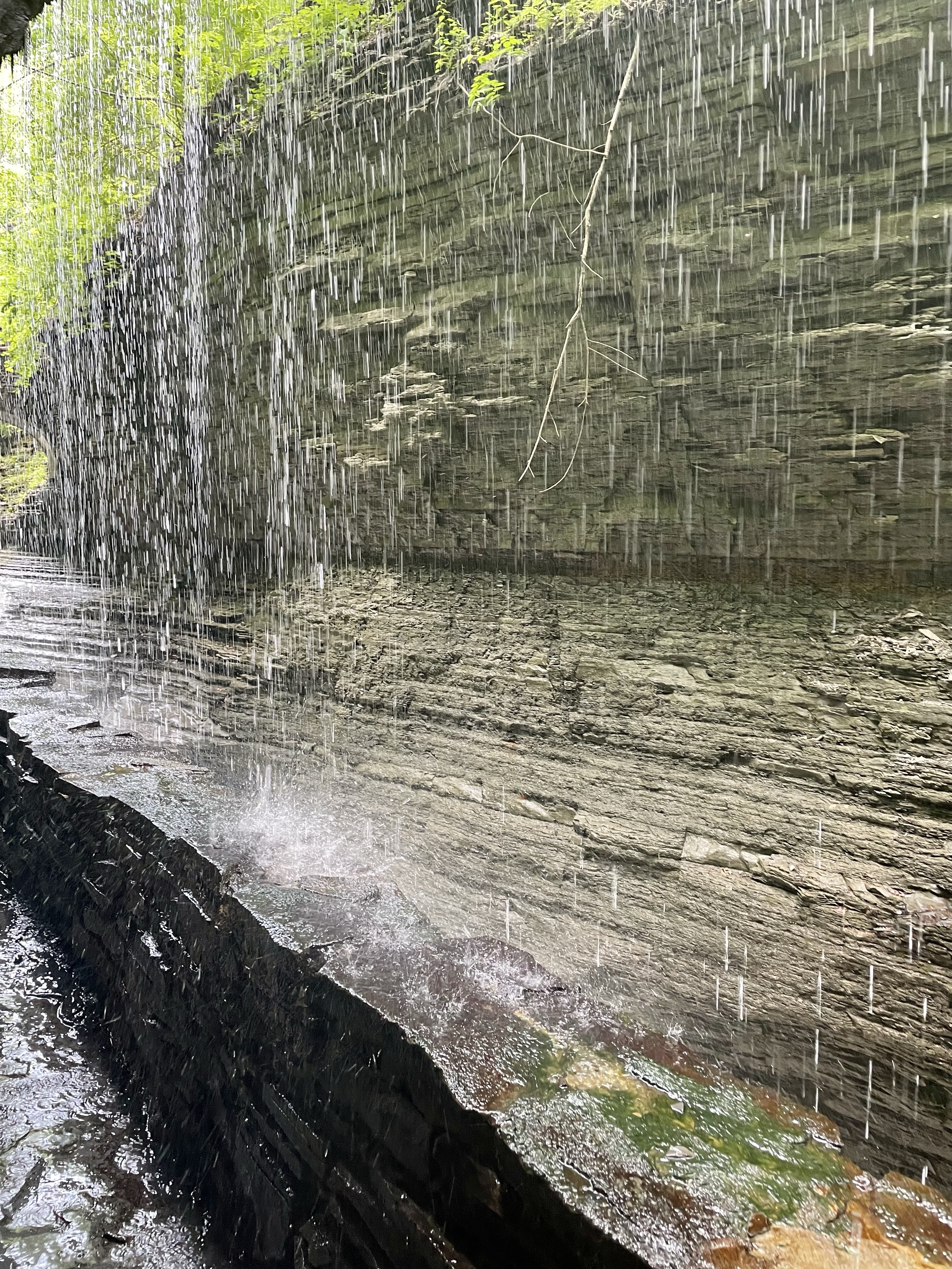 Finger Lakes Watkins Glen State Park